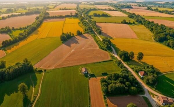 Mercado de loteamentos em Minas Gerais registra 
crescimento de 7% de lotes vendidos no 2º Tri de 2025