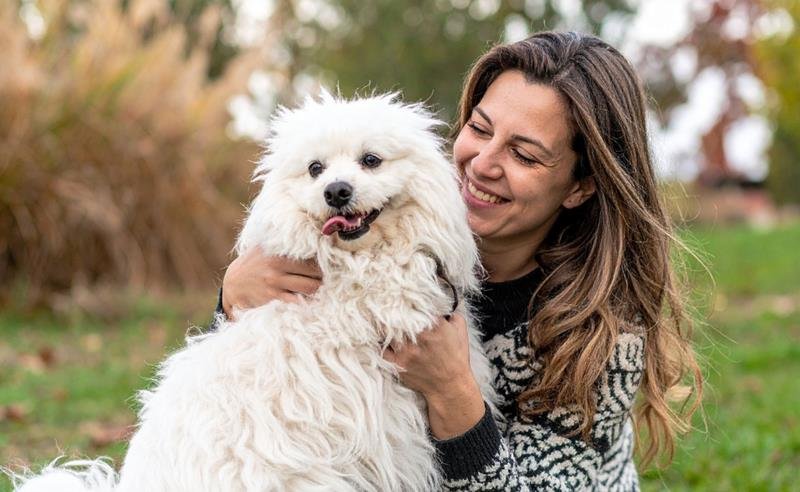Assim como em humanos, envelhecimento de pets requer acompanhamento e cuidado preventivo